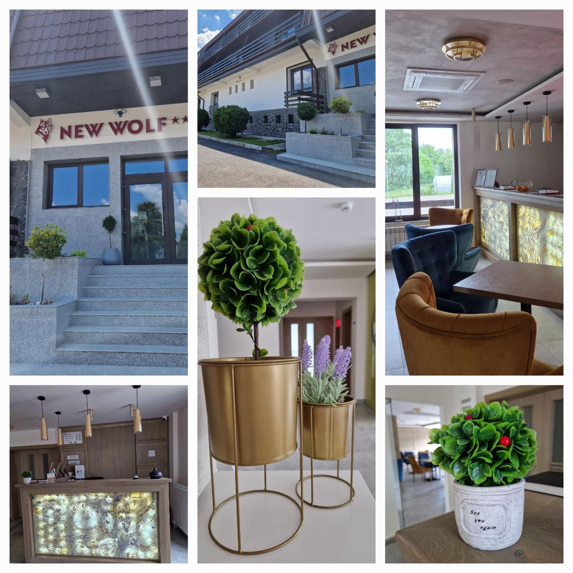 Hotel New Wolf Bran (Brasov)