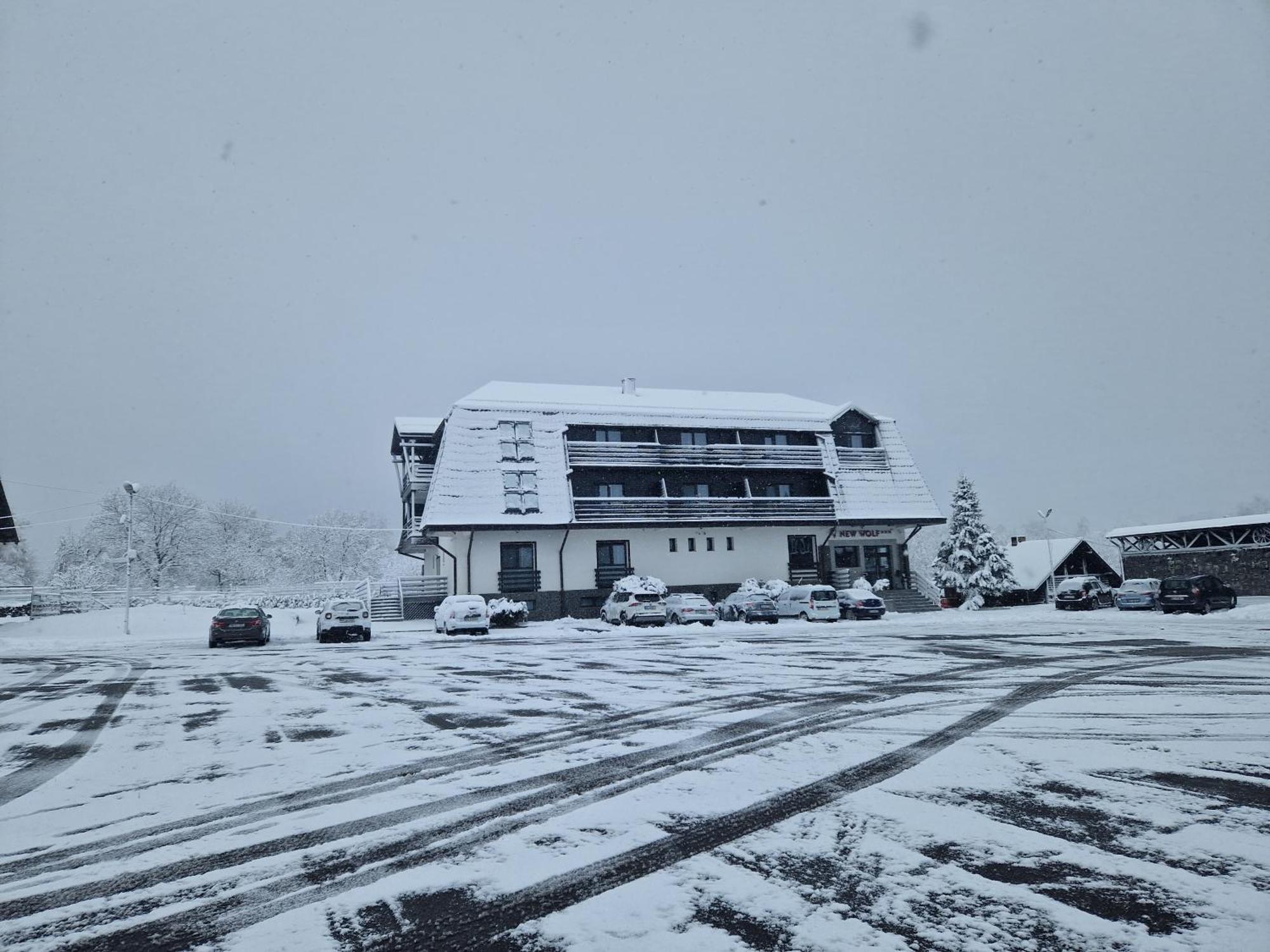 New Wolf Hotel Bran (Brasov)