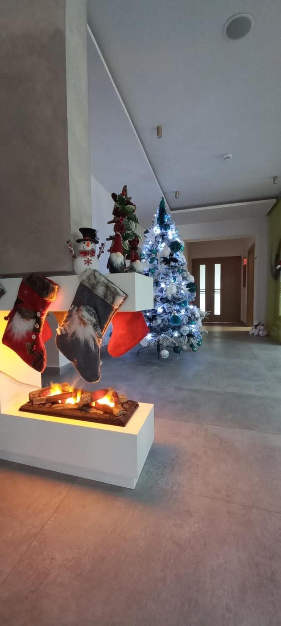New Wolf Bran (Brasov)