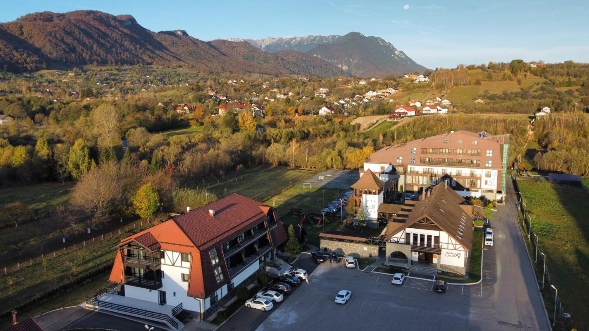 New Wolf Hotel Bran (Brasov)