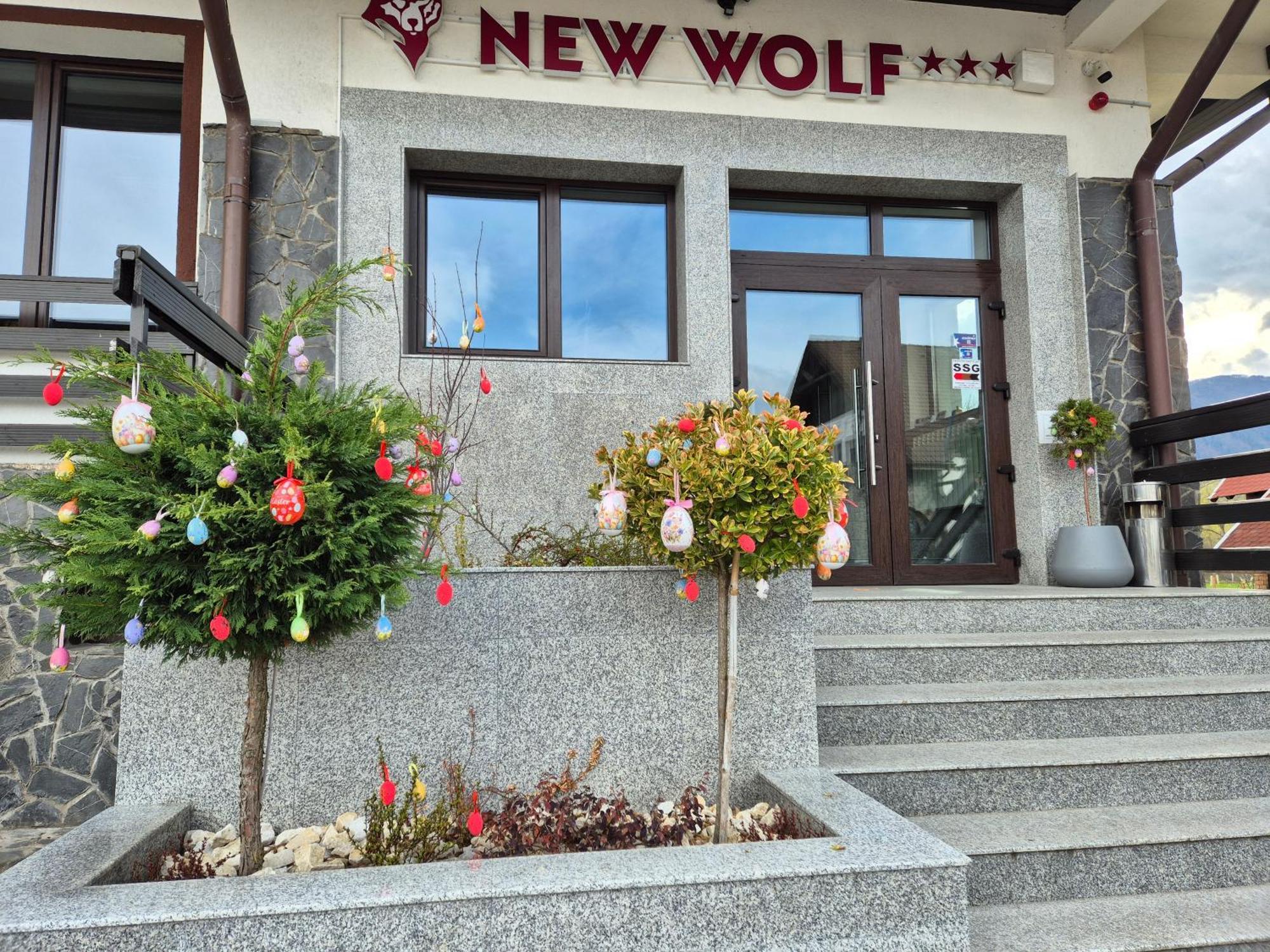 New Wolf 酒店 3*