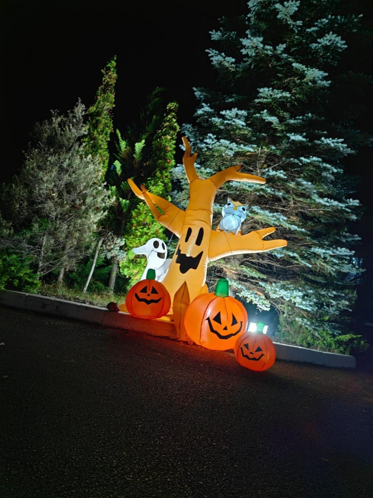 New Wolf Bran (Brasov)